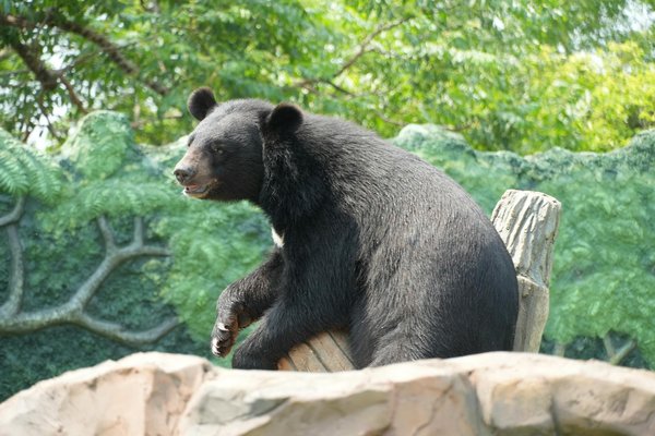 Comment Enrichir Son Design avec la Diversité Culturelle?