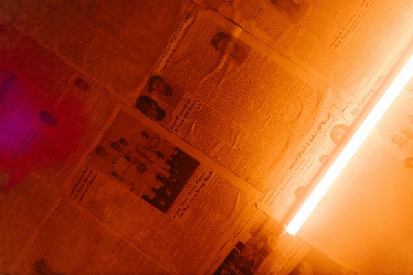 Blog chats et chiens : conseils pratiques pour vos compagnons