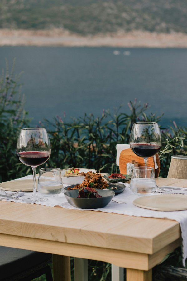 L'univers fascinant des vins et vignobles : accords à découvrir